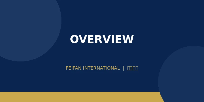 非凡国际公司简介_企业背景与发展历程